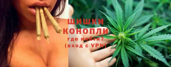 спиды Каменногорск