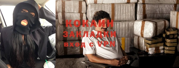 скорость Каменка