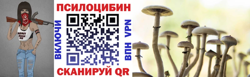 Галлюциногенные грибы GOLDEN TEACHER  Купить где  Краснознаменск 