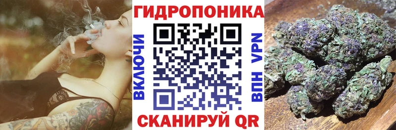 Конопля индика Краснознаменск